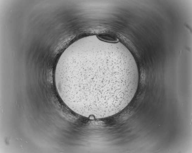 X0000102230403200808151734