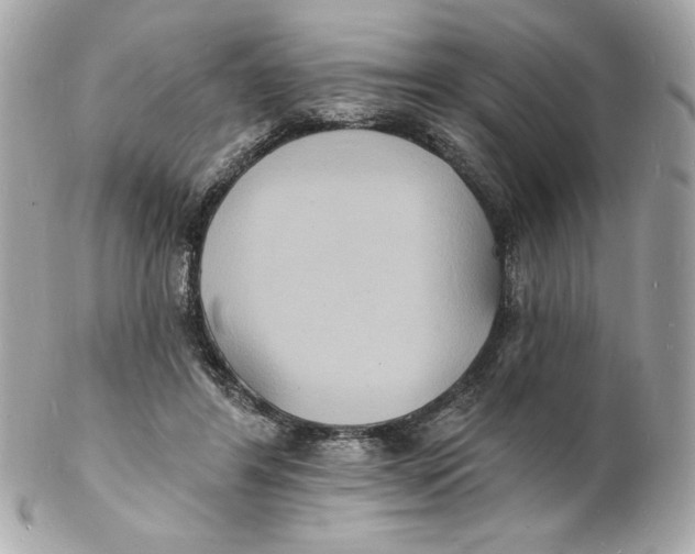 X0000102230404200808151734