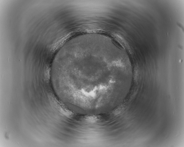 X0000102230405200808151734