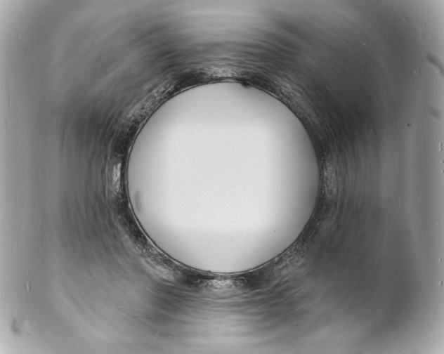 X0000102230406200808151734