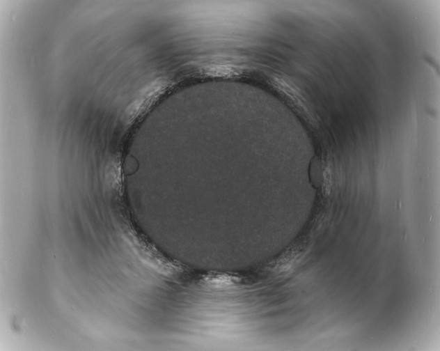 X0000102230407200808151734