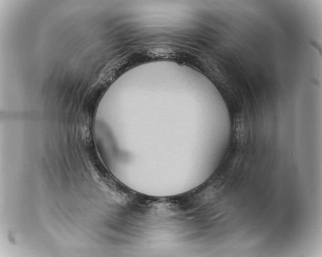 X0000102230408200808151734