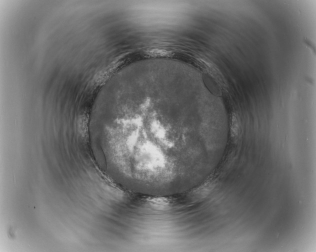 X0000102230409200808151734