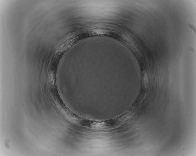 X0000102230410200808151734