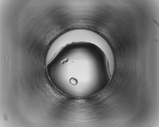 X0000102230411200808151734