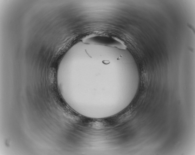X0000102230412200808151734
