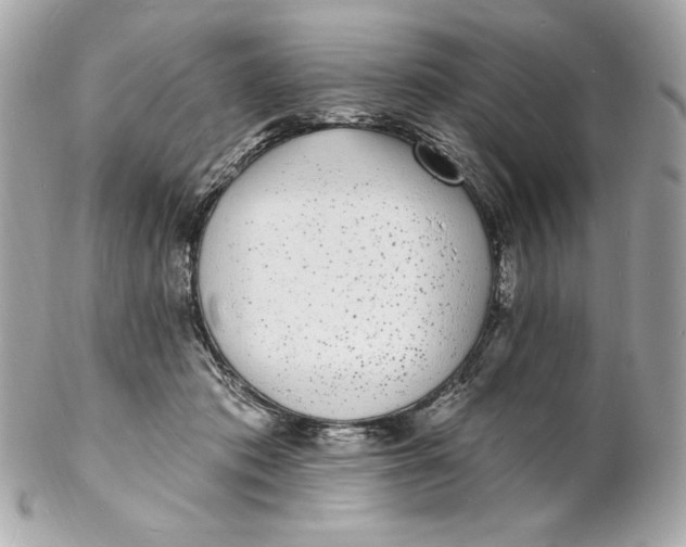 X0000102230413200808151734
