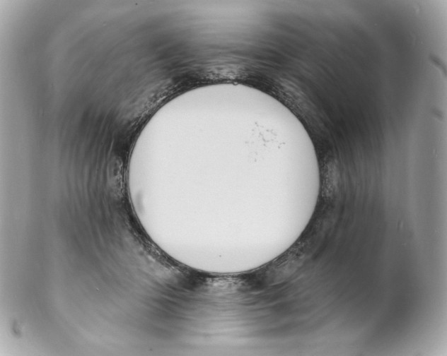 X0000102230414200808151734