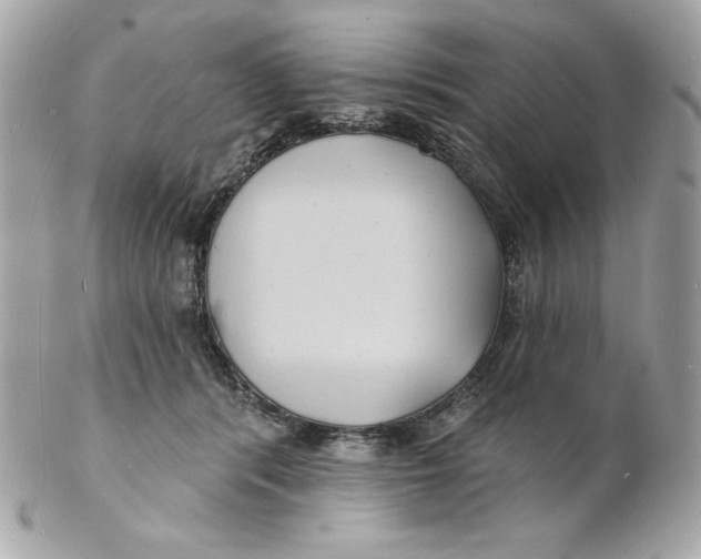 X0000102230416200808151734