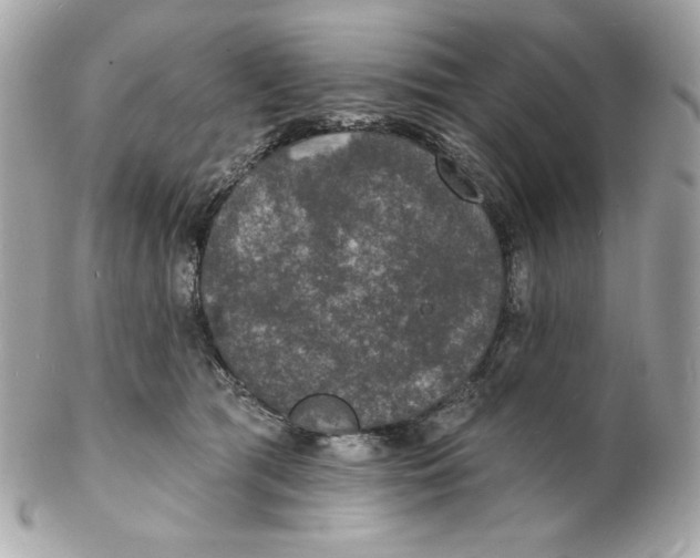 X0000102230417200808151734
