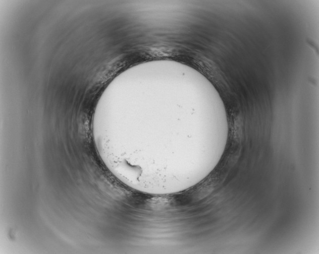 X0000102230418200808151734