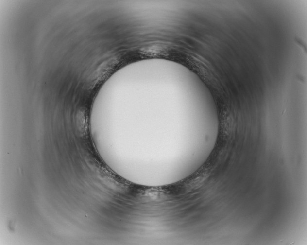 X0000102230420200808151734