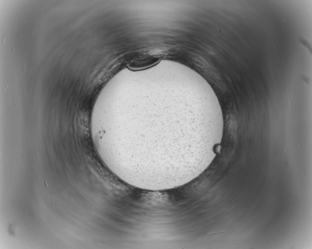 X0000102230421200808151734