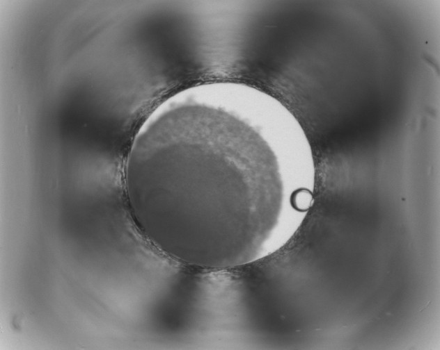 X0000102230423200808151734