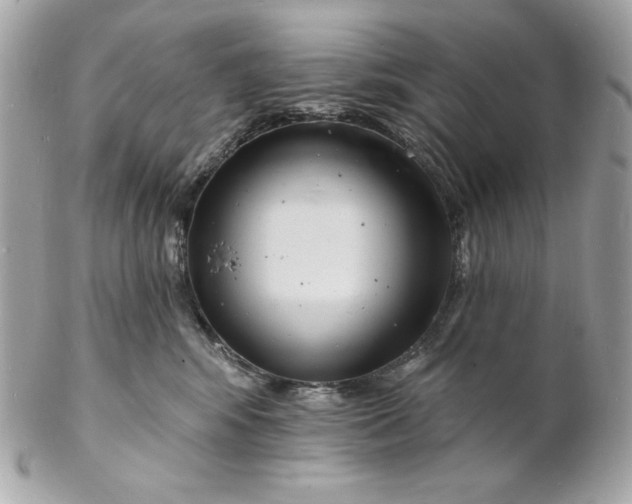 X0000102230424200808151734
