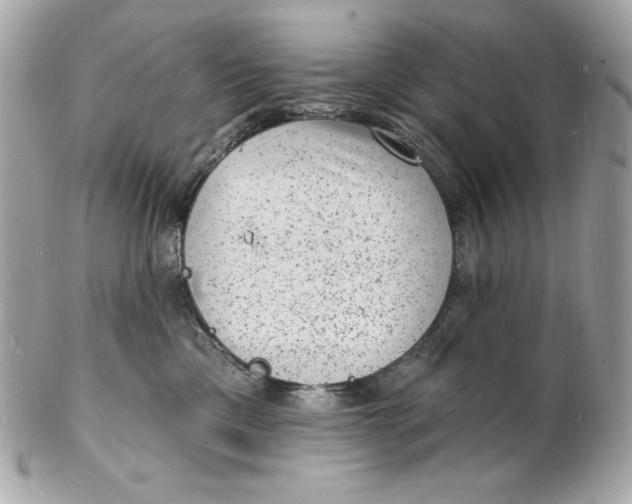 X0000102230425200808151734