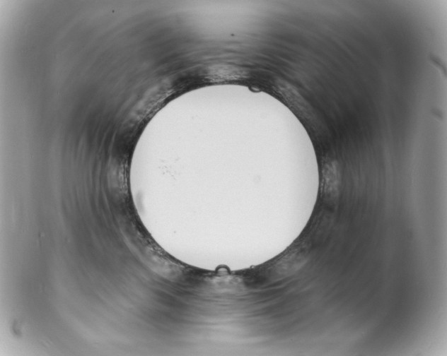 X0000102230426200808151734