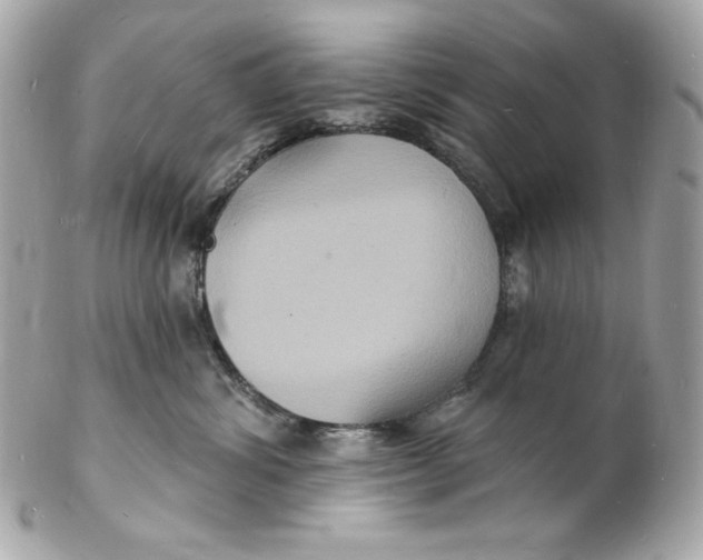 X0000102230428200808151734