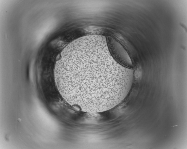 X0000102230429200808151734
