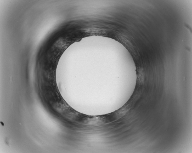 X0000102230430200808151734
