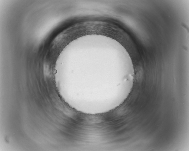 X0000102230431200808151734
