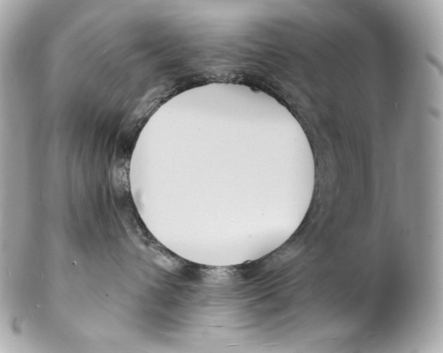 X0000102230432200808151734