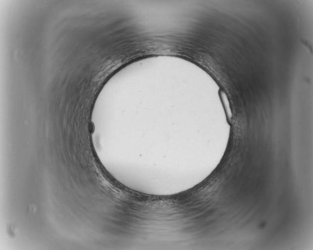 X0000102230433200808151733