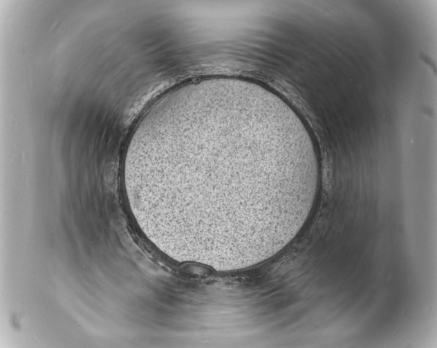 X0000102230434200808151733