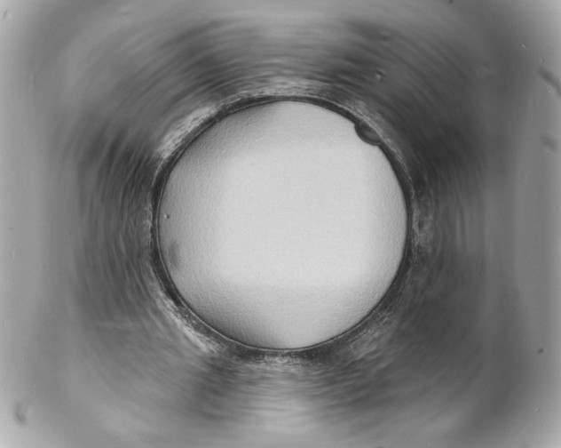 X0000102230437200808151733