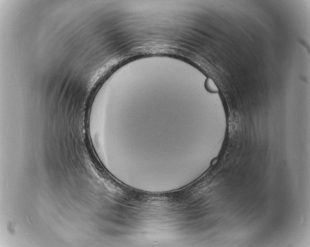 X0000102230438200808151733