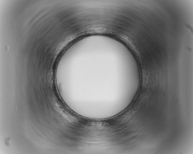 X0000102230439200808151733