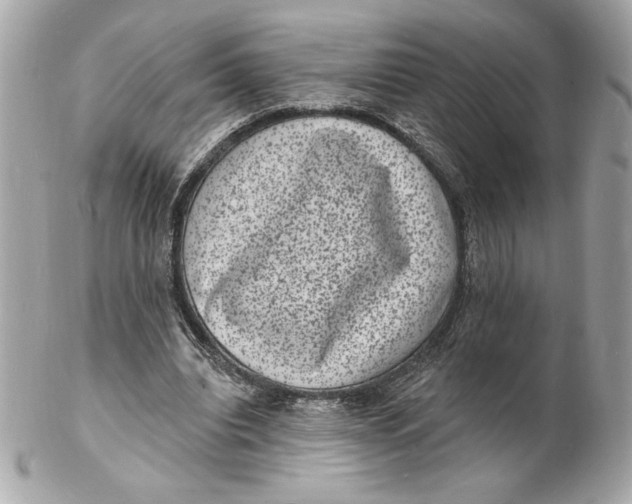 X0000102230440200808151733