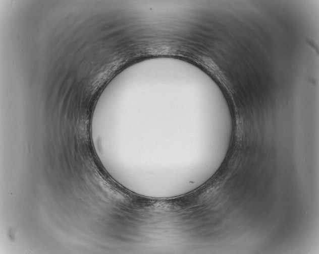 X0000102230441200808151733