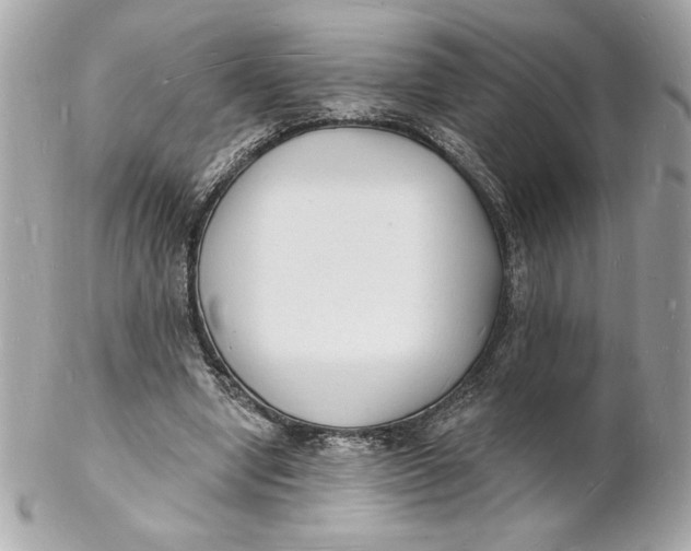 X0000102230442200808151733