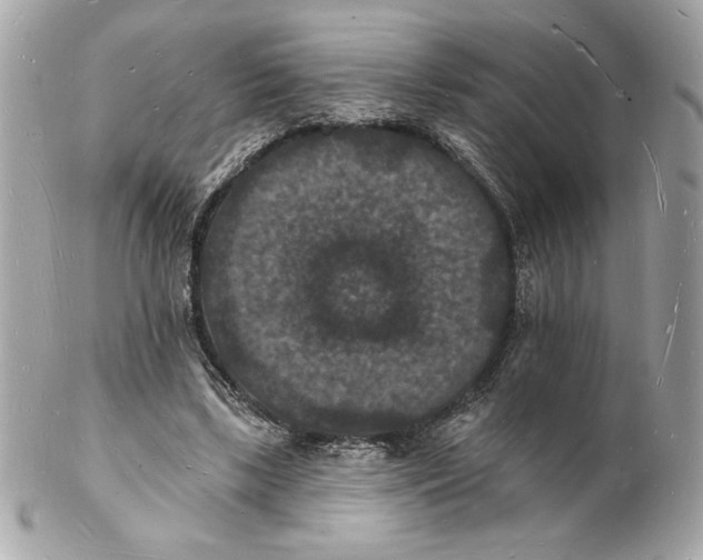 X0000102230443200808151733