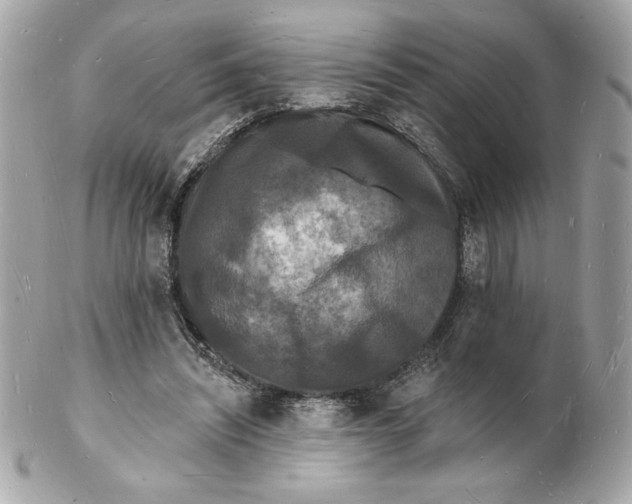 X0000102230444200808151733