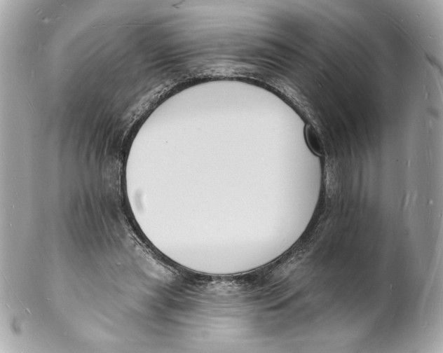 X0000102230445200808151733
