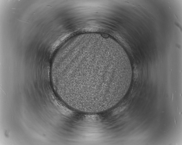 X0000102230446200808151733