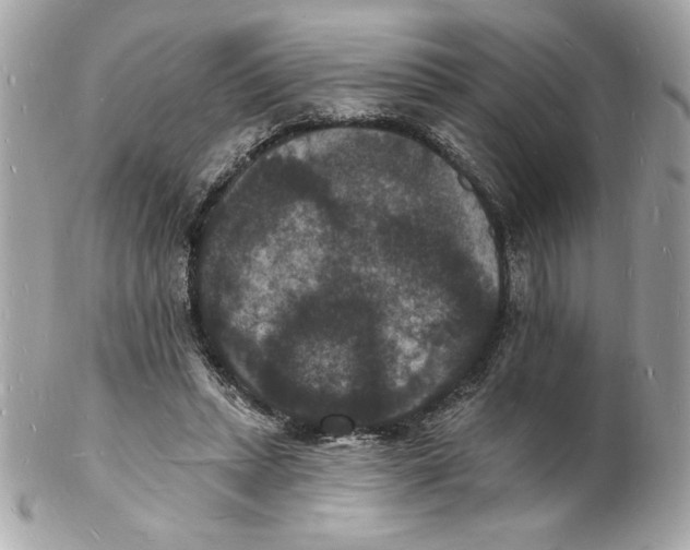 X0000102230447200808151733