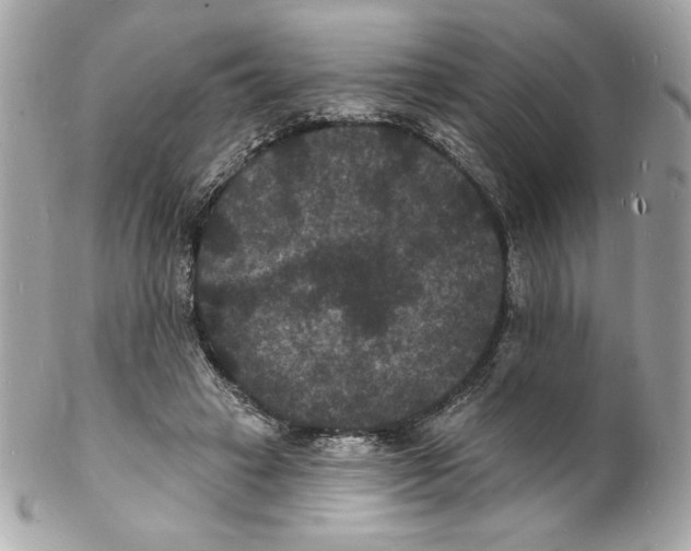 X0000102230449200808151733
