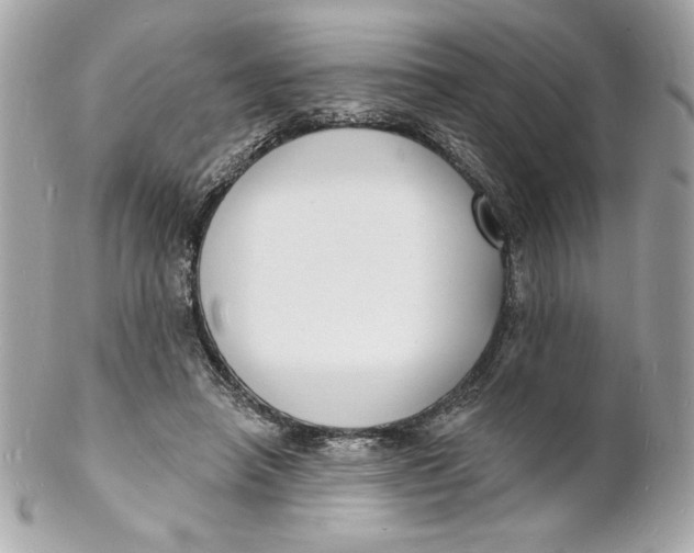 X0000102230450200808151733