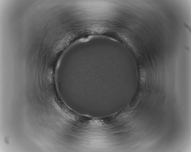 X0000102230451200808151733