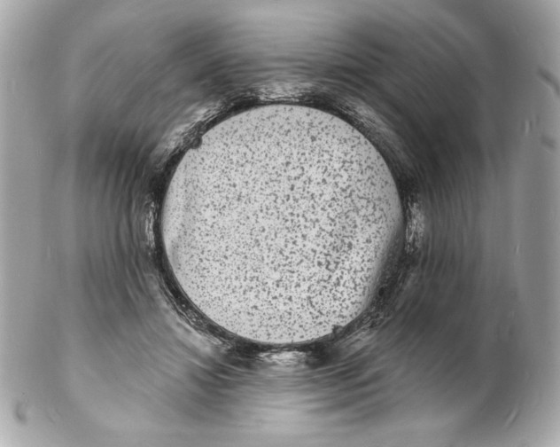 X0000102230452200808151733