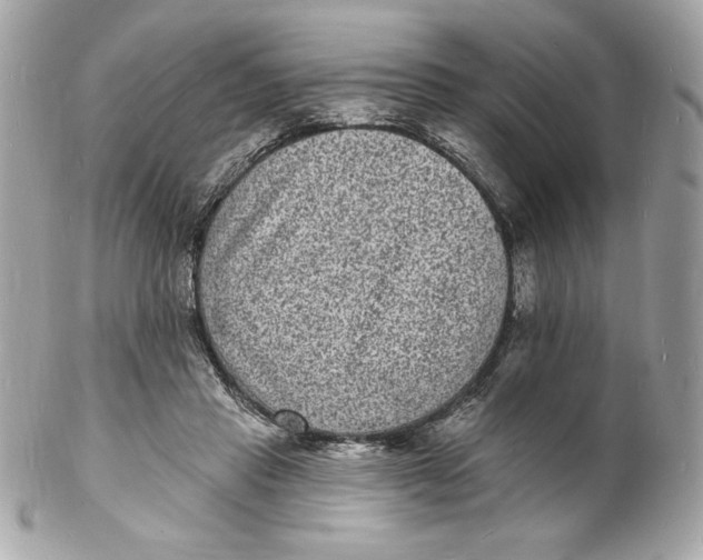 X0000102230453200808151734