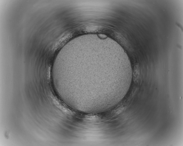 X0000102230454200808151734