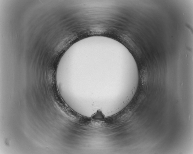X0000102230455200808151734