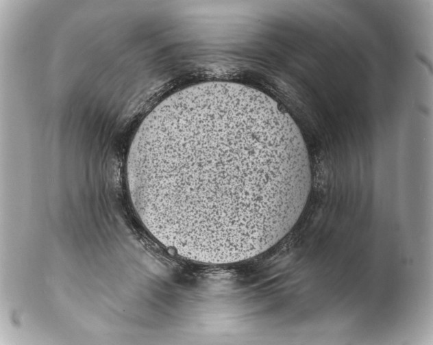 X0000102230456200808151734