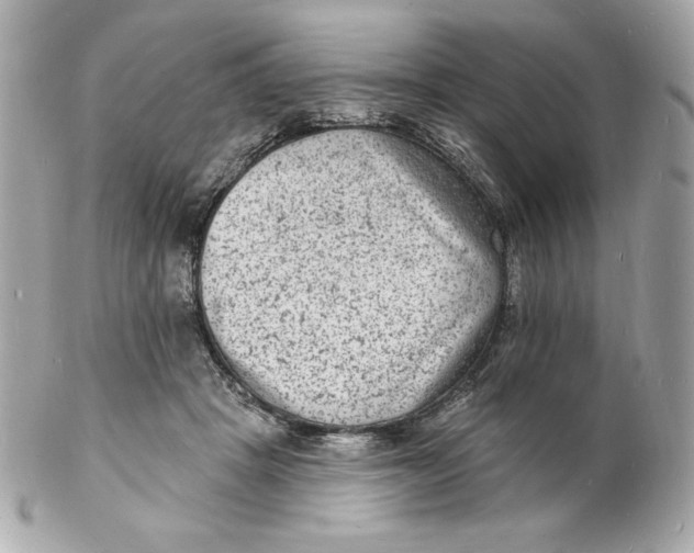 X0000102230457200808151734