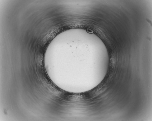 X0000102230458200808151734