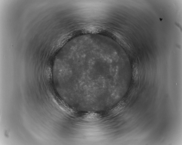 X0000102230459200808151734